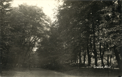 12119 Gezicht in de Grebbeweg te Grebbe bij Rhenen.